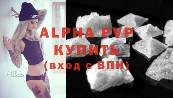 стаф Зерноград