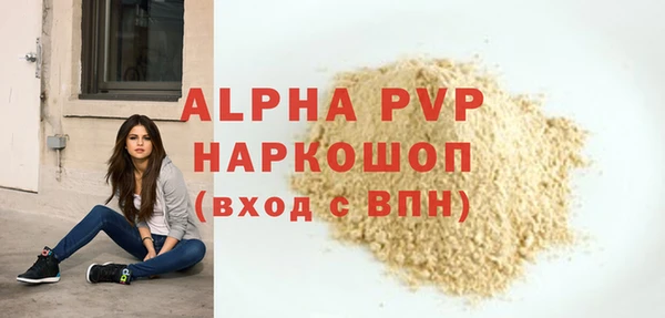 стаф Зерноград