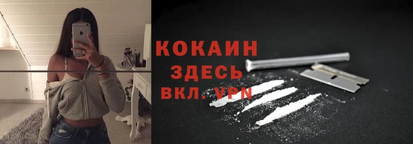 стаф Зерноград