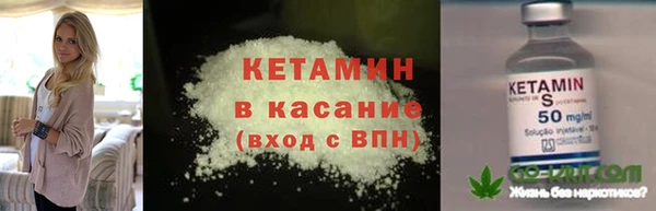 стаф Зерноград