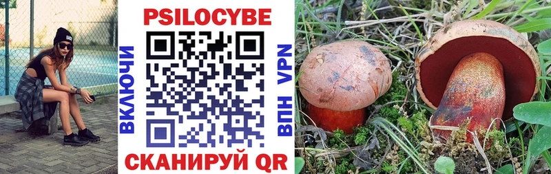 Галлюциногенные грибы Psilocybine cubensis  Малаховка 